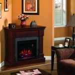 Twin Star Frankin Fireplace